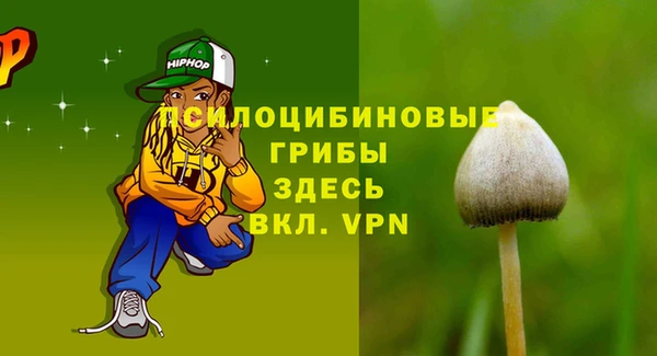 ешки Алексин